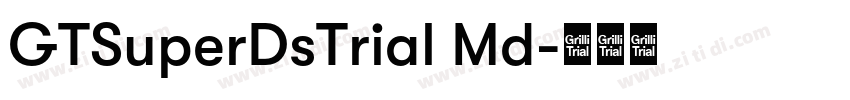 GTSuperDsTrial Md字体转换